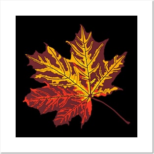 Maple leaf Posters and Art